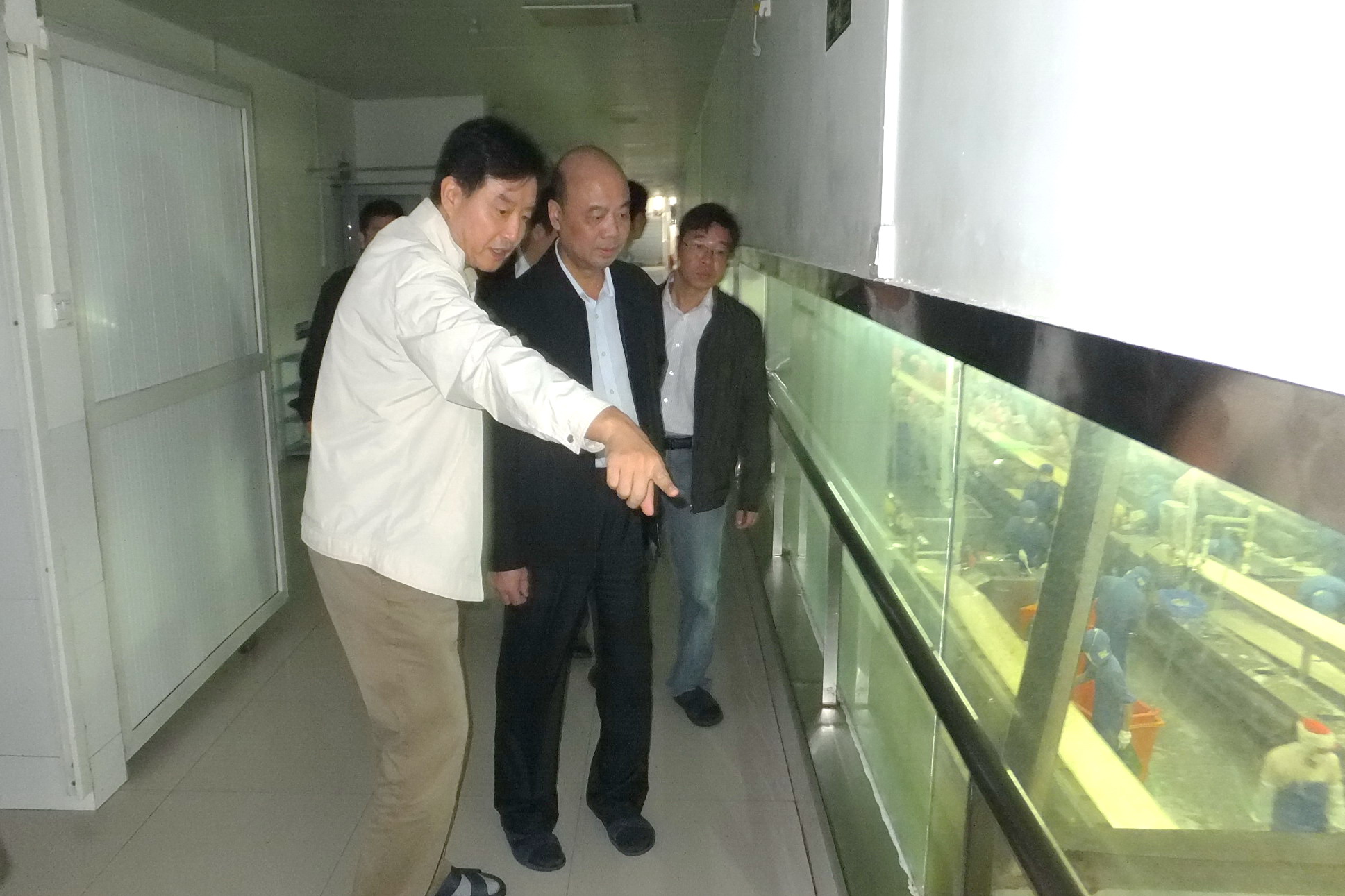 南宁高新区党工委书记黄润斌前来百洋股份调研